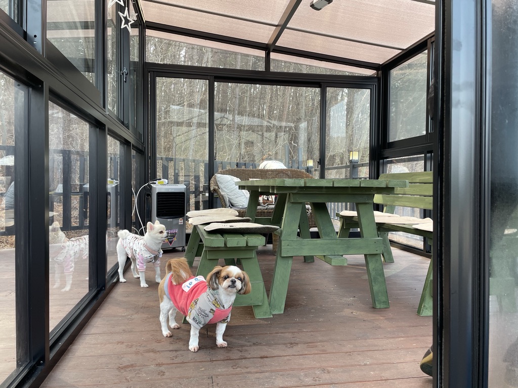 Scenic view of stone walls and nature